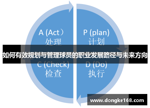 如何有效规划与管理球员的职业发展路径与未来方向